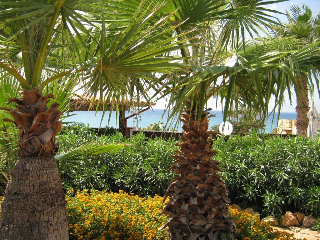 Villa Baia Di Cornino كوستوناتشي الغرفة الصورة